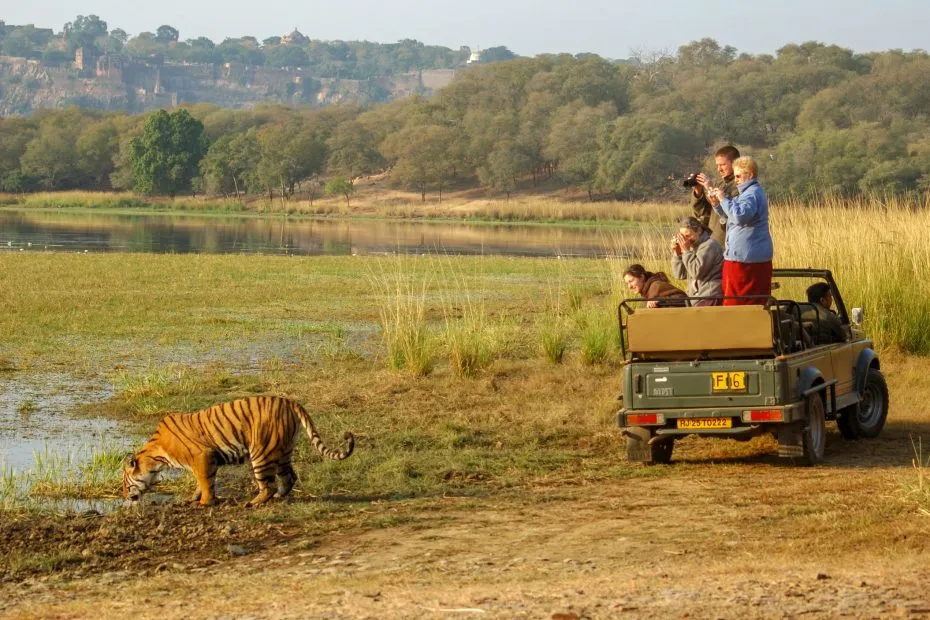 RANTHAMBORE