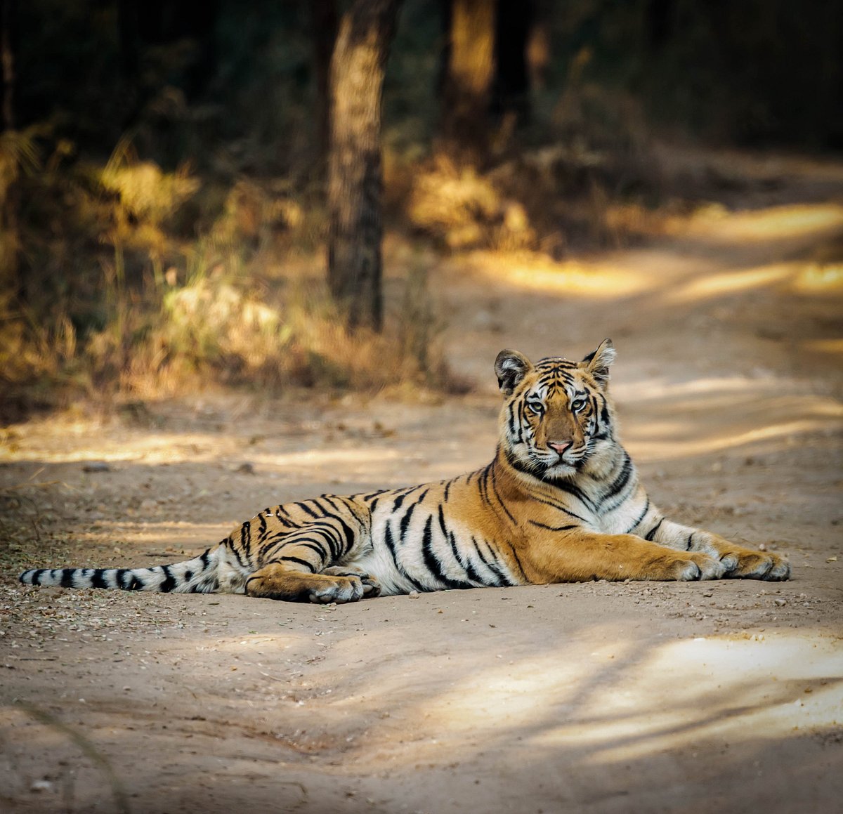 PENCH