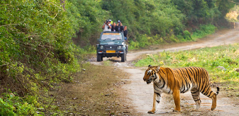 JIM CORBETT