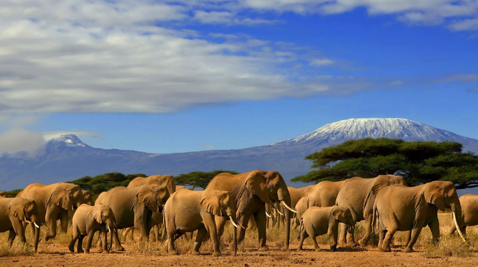 Kenya